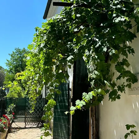 Casino Del Sole Relax & Chill