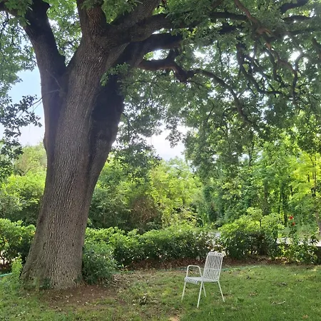 Casa vacanze Casino Del Sole Relax&chill